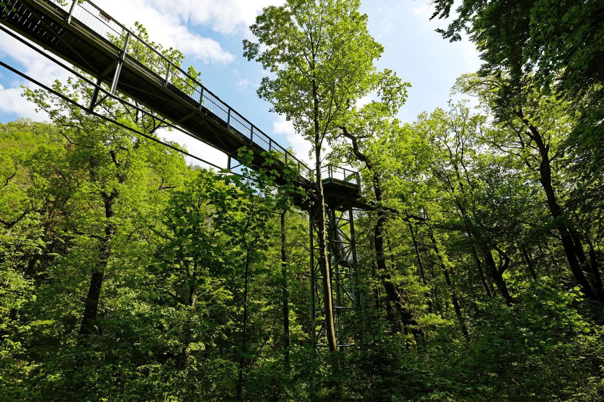 Villa Mara Bad Lauterberg Kültér fotó